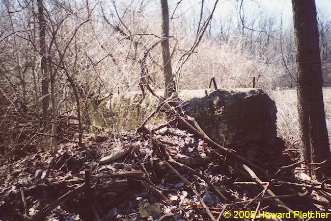 The large block on the right was the base for a generator while the rubble is all that remains of the South LaPorte car barn of the Chicago-New York Electric Air Line Railroad.  Howard Pletcher